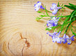 Photo: flowers on wooden background flowers on wooden background