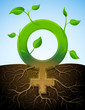 Growing female sign like plant with leaves and roots in ground