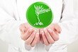 doctor woman holding nature symbol in her hands