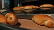 Manufacture of bread