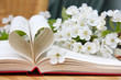 Liebe zur Poesie