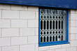 Retractable Window Security Ga...