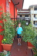 baby on his orchard in fact with pots on a terrace of an apartme