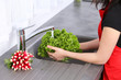 L_Salade Verte