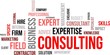 word cloud - consulting