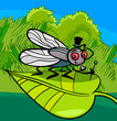 Vector: housefly insect cartoon illustration housefly insect cartoon illustration