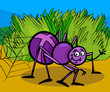 Vector: cross spider insect cartoon illustration cross spider insect cartoon illustration