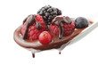 berries cover with milk chocolat isolated on white