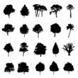 Set Of Twenty Black Vector Silhouettes Trees