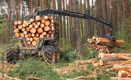 Photo: The harvester working in a forest. The harvester working in a forest.