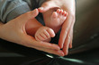 Foto: Babyfüße und Hände in Herzform Babyfüße und Hände in Herzform
