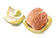 Photo: Walnut isolated on the white background, closeup Walnut isolated on the white background, closeup