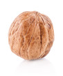 Walnut isolated on the white background, closeup