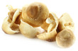 Photo: Edible Shiitake Mushroom over white background Edible Shiitake Mushroom over white background
