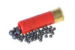 Hunting cartridges for shotgun on a white background