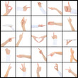 Hand on white backgroud