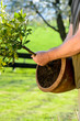 Gartenarbeit