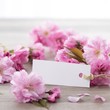 Foto: Cherry blossoms and white card Cherry blossoms and white card