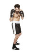 Male boxer in boxing stance ready to fight