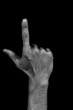 Hand on black back - two