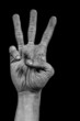 Hand on black palm - three