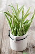 Green beans