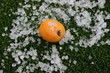 Nispero con granizo