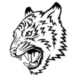 Vector: Tiger Tiger