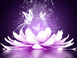 Beautiful lotus flower