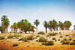 Sahara desert