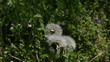 It's hay fever season!