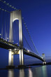 Verrazano - Narrows Bridge