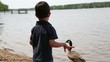 watch out goose