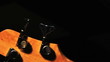 Bass guitar player