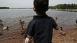 Video: child feeding the geese child feeding the geese