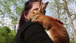 Sweet pet bunny