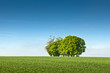 Foto: Idyllic rural landscape, Cotswolds UK Idyllic rural landscape, Cotswolds UK