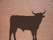 ombre de taureau sur mur rouge