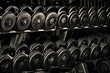Photo: Row of Hand Barbells Row of Hand Barbells