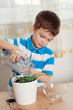 Photo: boy puts plant in pot boy puts plant in pot