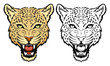 Vector: Leopard Leopard