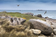 Coastline