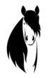 Vector image of an horse on white background