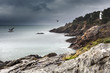 Wild coastline