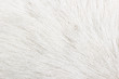 fur