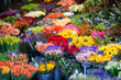 beautiful flowers in shop for sale