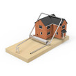 House in mouse trap