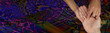 Palmistry website banner head