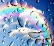 Photo: drops of rain on the window drops of rain on the window