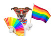 gay pride dog